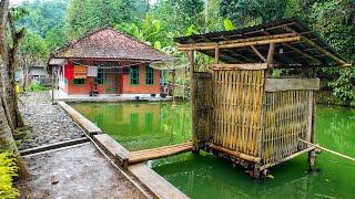 BETAH BANGET, MENIKMATI HIDUP DI DESA, UDARANYA SEJUK AYEM TENTRAM. ALAM INDAH DAMAI DIJAMIN BETAH