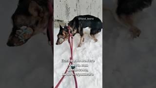 Если не можете помочь финансово, то ничего страшного ️