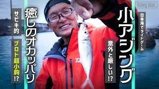 [Fun] Super small hook horse mackerel fishing on the bank in Yamagata Prefecture [Fishing Vibes]