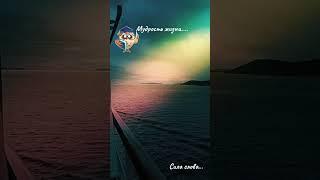 В этом мире нет ничего случайного #мир #случайность