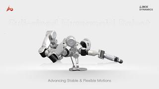 Advancing Stable & Flexible Motions: LimX Dynamics Full-sized Humanoid Robot Update