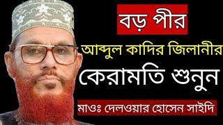 বড় পীরের কেরামতি শুনুন দেলওয়ার হোসেন সাইদি। Delower Hossain saidi bangla waz