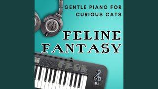 Curious Paws and Piano Chords