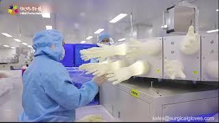 China Top 1 Surgical Gloves Manufacture,HBM Sterile Surgical Gloves Factory Show