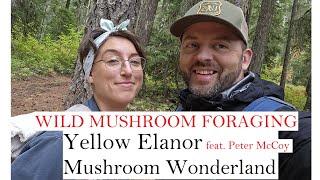 Yellow Elanor visits Mushroom Wonderland : feat  Peter McCoy