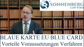 Blaue Karte EU Blue Card Voraussetzungen Verfahren Vorteile English Subtitles