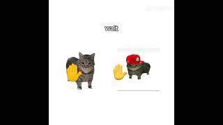Kucing Akmal #kucing #Akmal