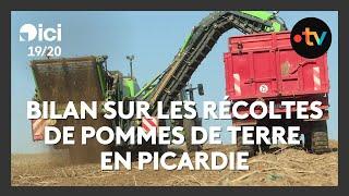 Le bilan des récoltes de pommes de terre en Picardie : des rendements corrects en perspective