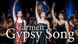 Bizet – Gypsy Song from Carmen, Wiktoria Rudnicka, Sylwia Janiak-Kobylińska, aMUZ Symphony Orchestra