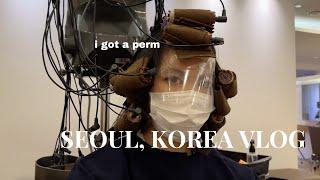 SEOUL VLOG: permed my hair and ate my weight in raw marinated crab | TIFFANY LAI
