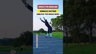 Dredge the meridians#qigong #martialarts #health