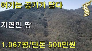 단돈 500만원~자연인 결심하신 분 보세요. 계곡물 흐르는 천상 자연인 땅[땅지통]