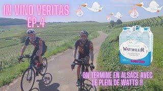 IVV EP4 - Fin de l'aventure en Alsace, l'heure du bilan ! (On finit avec les Watts de Wattwiller)