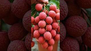 The Absolute BEST Way to Propagate Your Litchi Plant! #litchi #gardening