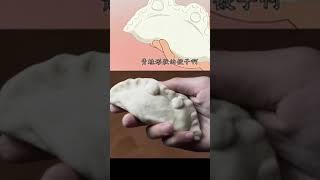 嫂子賣餃子實在好吃類，小新今天帶你來做各類餃子