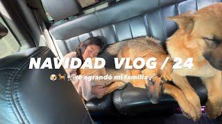 Nuestro regalo de NAVIDAD  Vlog NAVIDAD 24