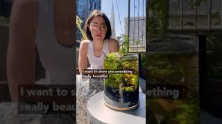 Making a tiny ecosystem- intro to the Walstad method!