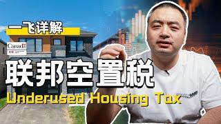 加拿大联邦空置税———详解！Underused Housing Tax — 哪些人需要填报？什么时间申报？