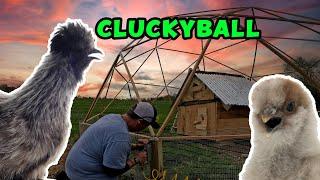 Building the Weirdest Chicken Coop Ever