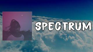 Andrew Belle - Spectrum (Lyrics)