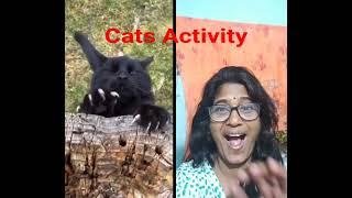 #Pets Activities ️ #Ytshorts #Shorts #@alegod - funnyanimals#Catslove #Pet care #Purr Family