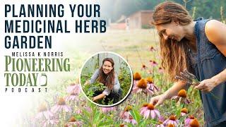 EP: 417 Don't Wait! Stock your Medicinal Herb Cabinet Now