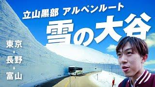 【富山の旅】立山黒部アルペンルートを日帰りで走破！チューリップと雪の大谷二刀流の旅