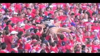 ZonaZoo Highlights 2009-2010