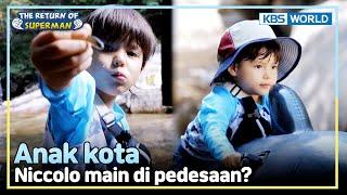 [IND/ENG] Niccolo menangkap ikan di lembah?! | The Return of Superman | KBS WORLD TV 240922