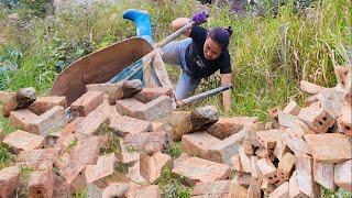 Build a ig barn with recycled materials on the farm. Unfortunately I slipped and fell