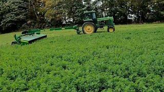 Mowing & Merging 4th Cutting Alfalfa