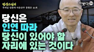 당신은 인연따라 당신이 있어야 할 자리에 있는 것이다 | 법상스님의 행복한 마음공부 | 부처님 말씀과 마음공부 통합본 21회 | 말씀