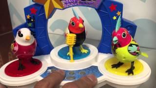 DigiBirds de SpinMaster Mini capsulas Juegos Juguetes y Coleccionables