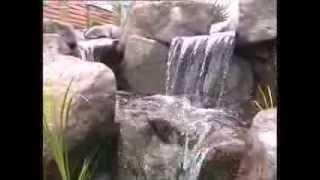 Waterfall, Stream & Bog Filter