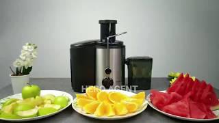 Sokany Stainless Steel Electric Juicer Extractor (SK4000)