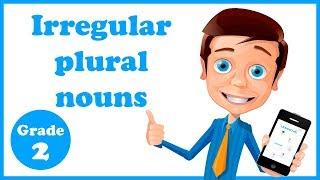 Grade 2 - Irregular Plural Nouns