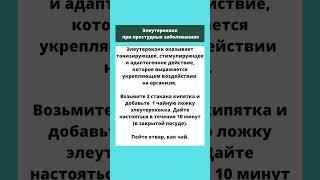 Элеутерококк при простудных заболеваниях #shorts #здоровье #народнаямедицина#аптечка#полезныесоветы