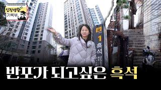 흑석, 앞으로 더 날아오를까 | 임장생활기록부