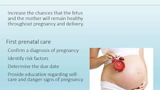 Prenatal Care - Nursing Lecture