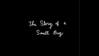 THE STORY OF A SMALL BUG