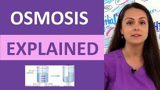 Osmosis Explained: Solutes and Osmolarity | What is Osmosis Nursing School Review NCLEX