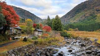 Morning Walk Upstream via Forest Trail and Mossy Rock Garden | Fukuchiyama, Japan 4K