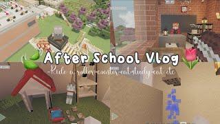 After School Vlog|Naik Roller Coaster ? cape