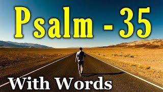 Psalm 35 Reading: Seeking Comfort in Prayer (With words - KJV)