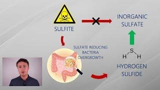 Can SIBO be a Protective Adaptation? Gut Dysbiosis, Hydrogen Sulfide & Sulfate