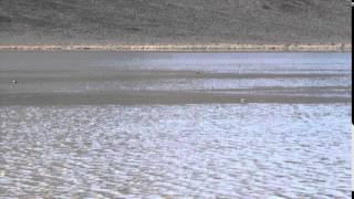 'Sailing Stones' of Death Valley Seen in Action | Video