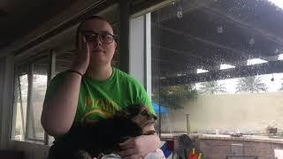 Somewhere Over the Rainbow -Brenna Williams cover