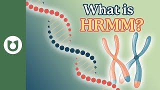 What is HRMM (High-Risk Multiple Myeloma)? #myeloma