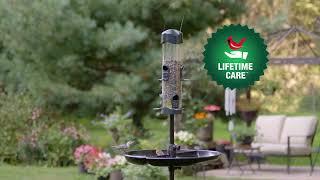 Brome Mega 600 Bird Feeder