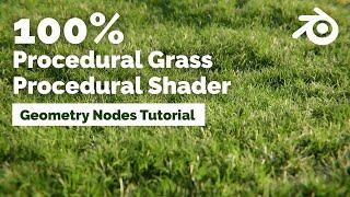 Procedural Landscape with procedural Grass and Shader - Blender Geometry Nodes Tutorial